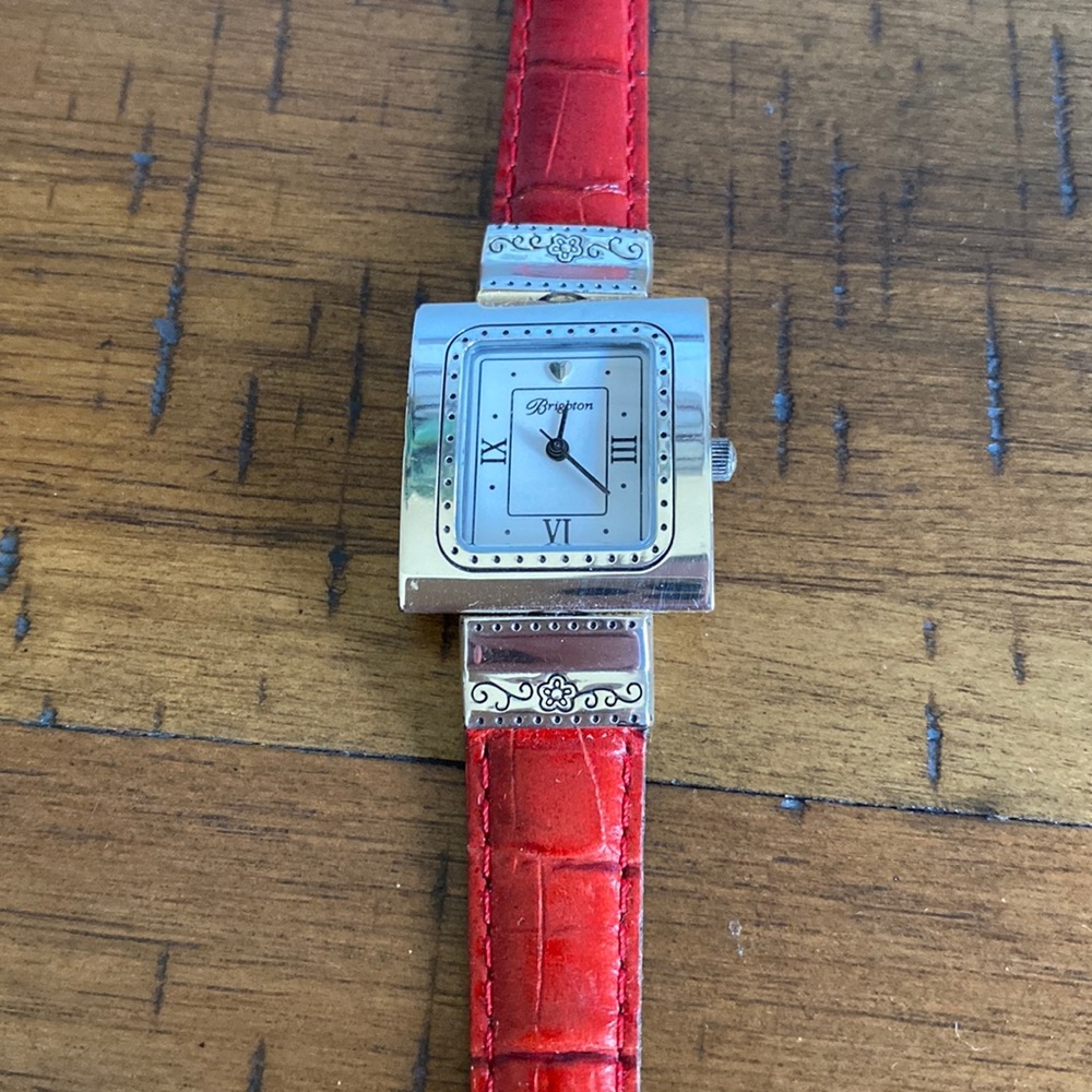 Brighton watch
